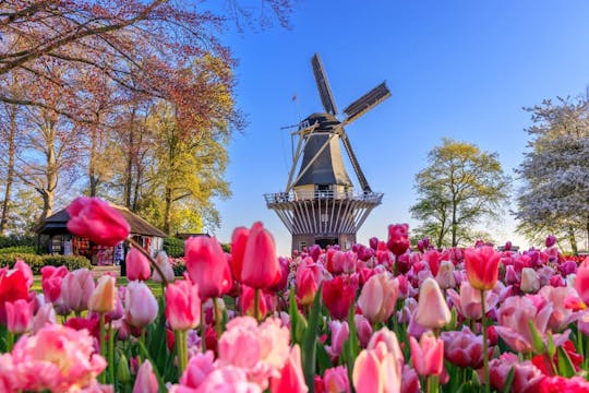 Wycieczka z przewodnikiem do Keukenhof i Zaanse Schans z Amsterdamu