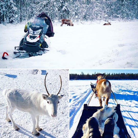 Traditional snowmobile safari in Levi to reindeer farm