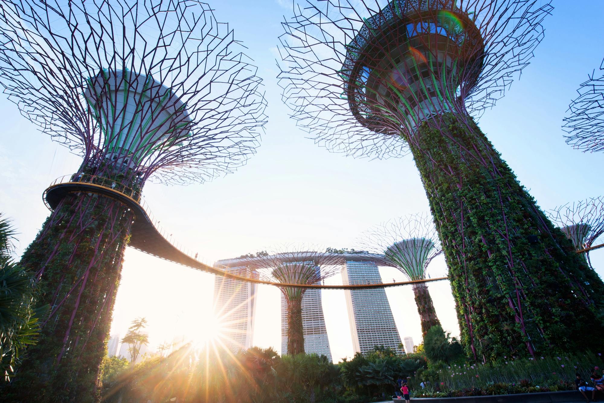 Gardens by the Bay Tour com Superárvores, Flower Dome e Cloud Forest