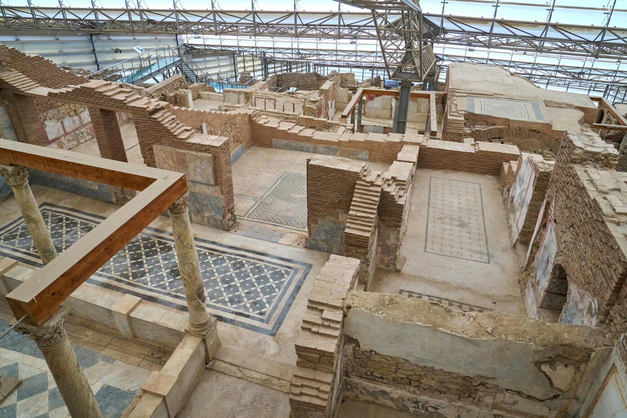 Nat Geo Day Tour: The Ancient Mosaics and Artistry of Ephesus