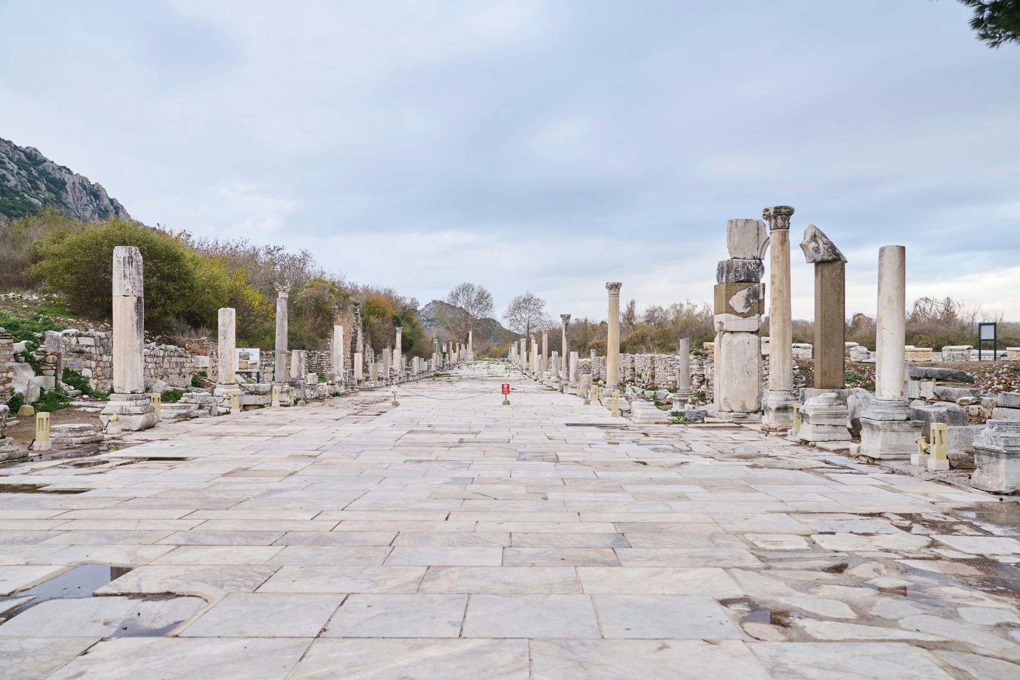 Nat Geo Day Tour: The Ancient Mosaics and Artistry of Ephesus