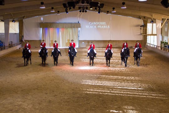 Somnin tanssivat hevoset -show