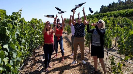 Visite en petit groupe de la vallée du Douro au départ de Porto