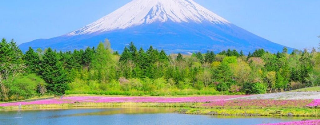 1-daagse tour naar de berg Fuji, Oshino Hakkai met stopcontacten of warmwaterbronnen