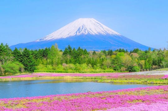 Tour de 1 día al Monte Fuji, Oshino Hakkai con salidas o aguas termales
