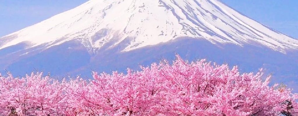 Jednodniowa wycieczka na górę Fuji, jezioro Kawaguchi, Yamanaka i Onsen