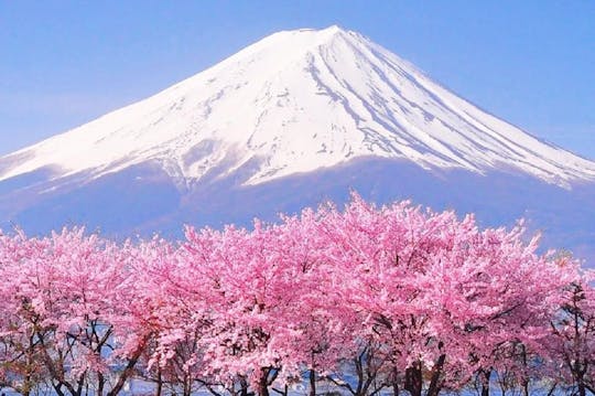 Tour di 1 giorno al Monte Fuji, al Lago Kawaguchi, Yamanaka e Onsen