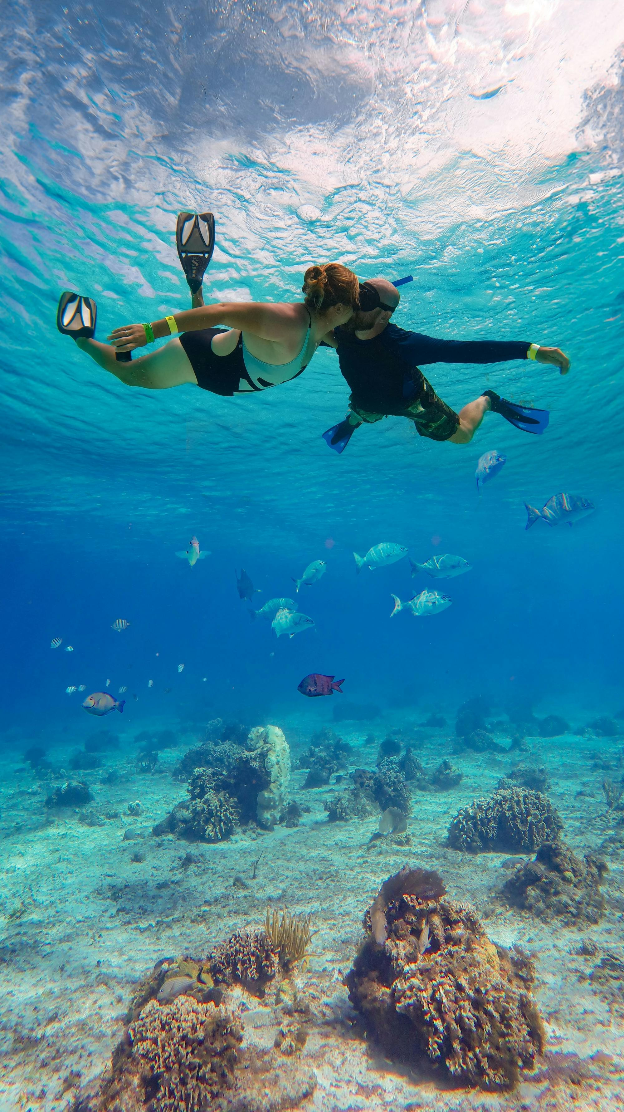 Cozumel Sea Safari with El Cielo Snorkelling