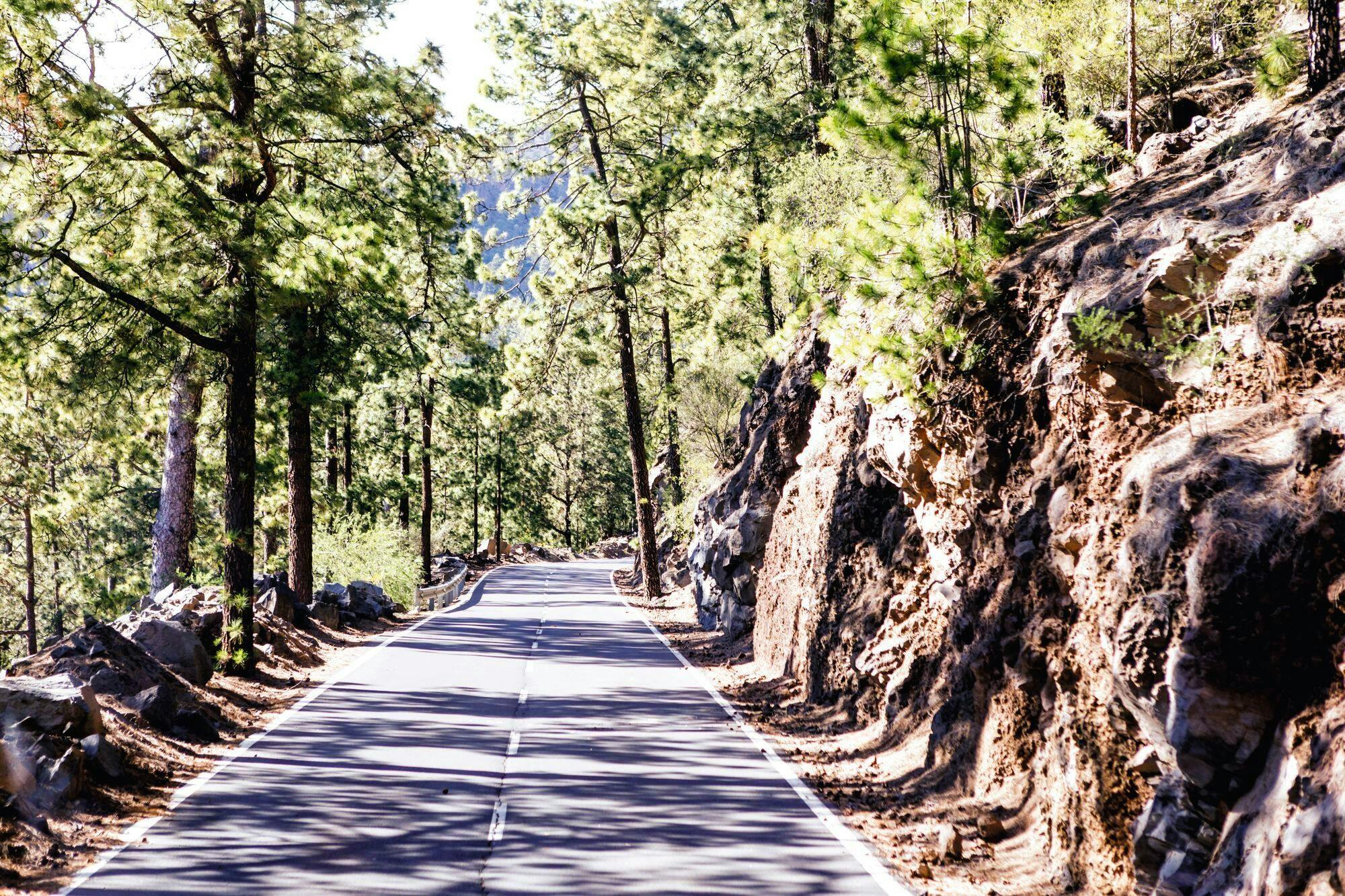 Teide Masca Private Tour