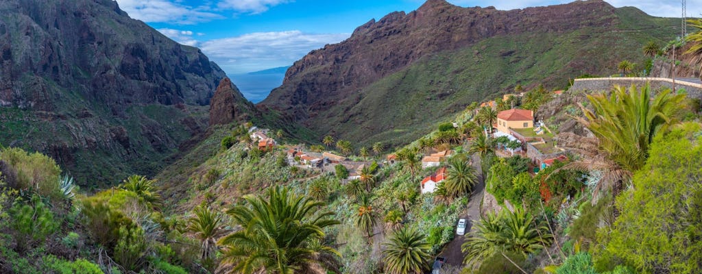 Prywatna wycieczka z Teide i Mascą