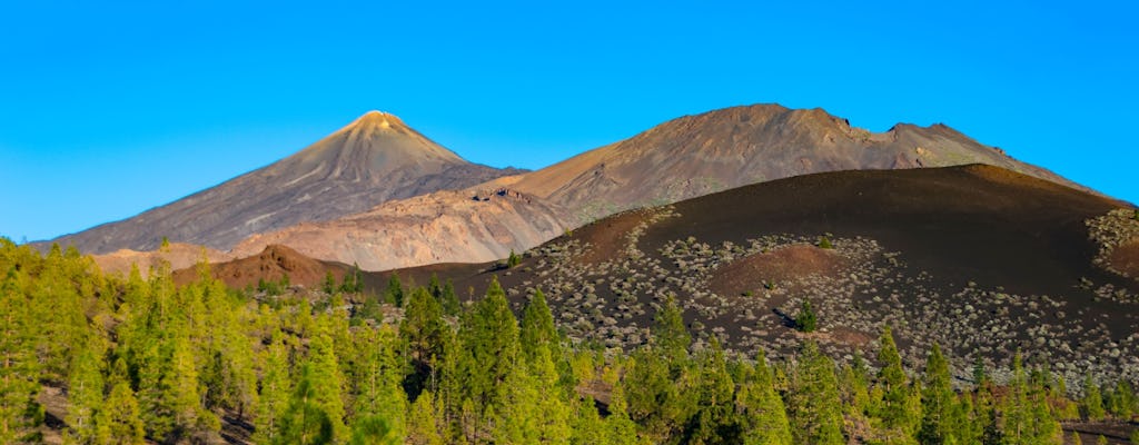Tour del Parco Nazionale del Teide con guida locale