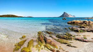 Snorkeling a Olbia