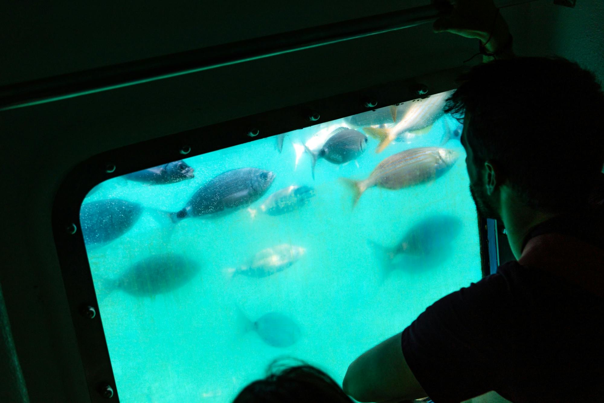 Cabo Clear Boat Tour to The Arch