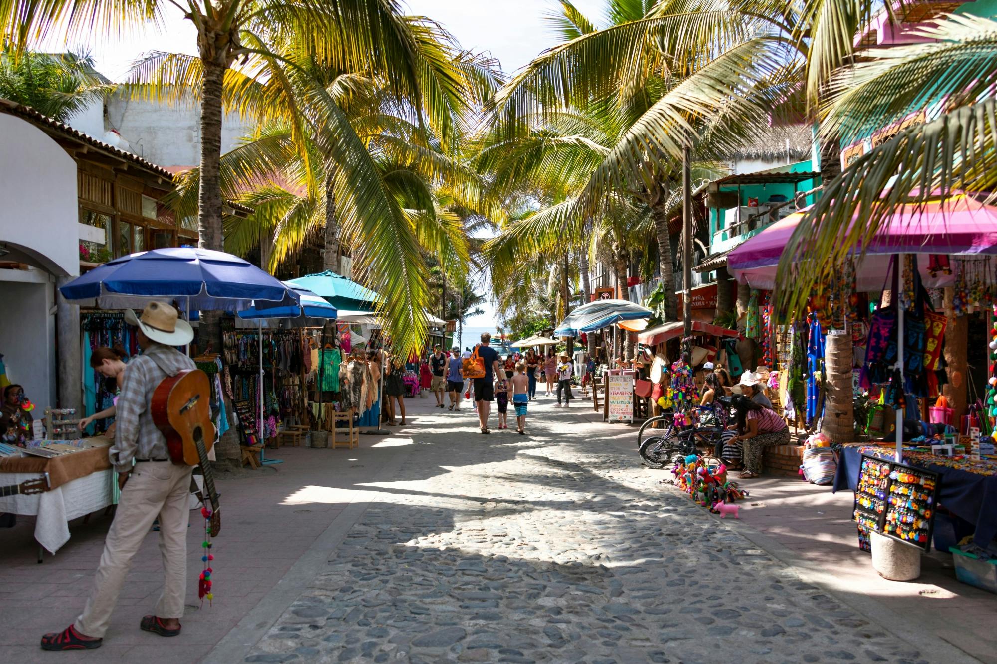 Vallarta Adventures Sayulita & San Pancho Tour