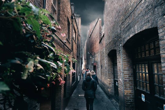 Recorrido original de Harry Potter en alemán con paseo en barco por Londres