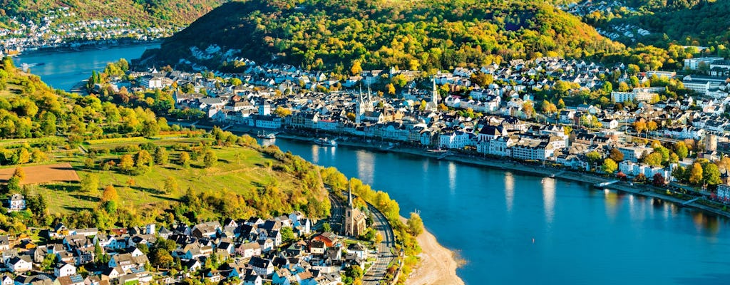 River Cruises Collection: Vineyard Tour and Wine Tasting in Boppard