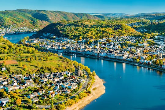 River Cruises Collection: Vineyard Tour and Wine Tasting in Boppard
