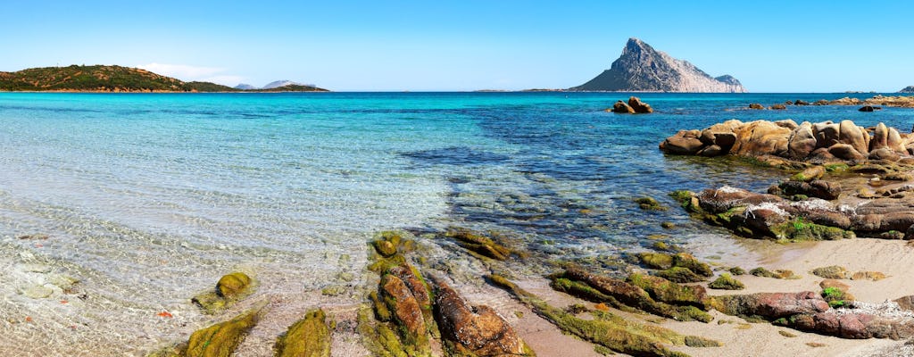 Tavolara i Molara Snorkeling z biologiem morskim