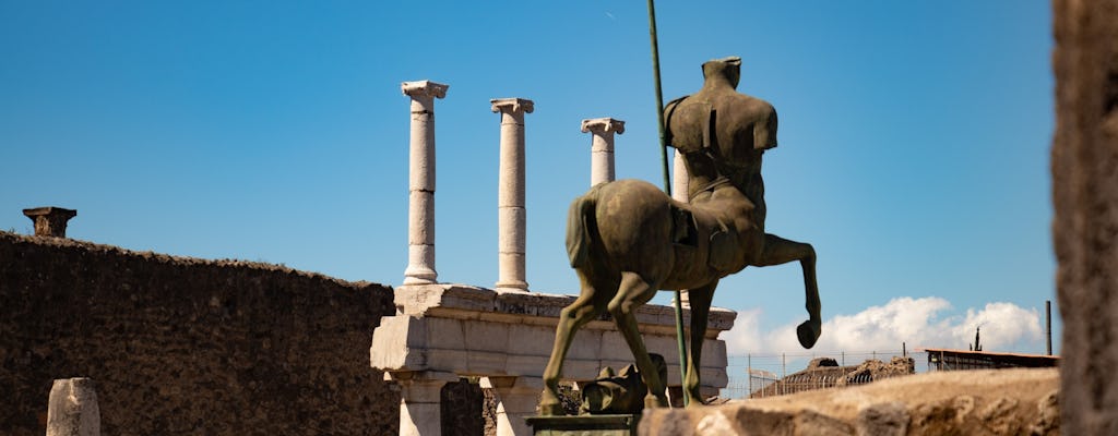 Pompeji und Herculaneum: Führung mit lokalem Mittagessen