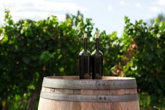 Visite guidée d'une journée complète des ruines de Pompéi et des vignobles du Vésuve au départ de Sorrente