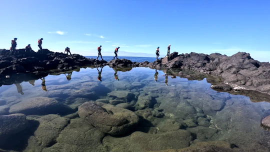 Coasteering experience in Caloura