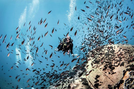 Buceo Plus Tour en Barco y Snorkel