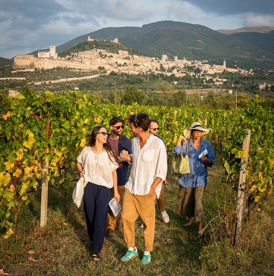Weinkeller von Assisi geführte Verkostung mit 5 Weinen und Mittagessen