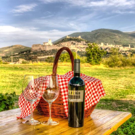 Assisi vineyard picnic and wine tasting