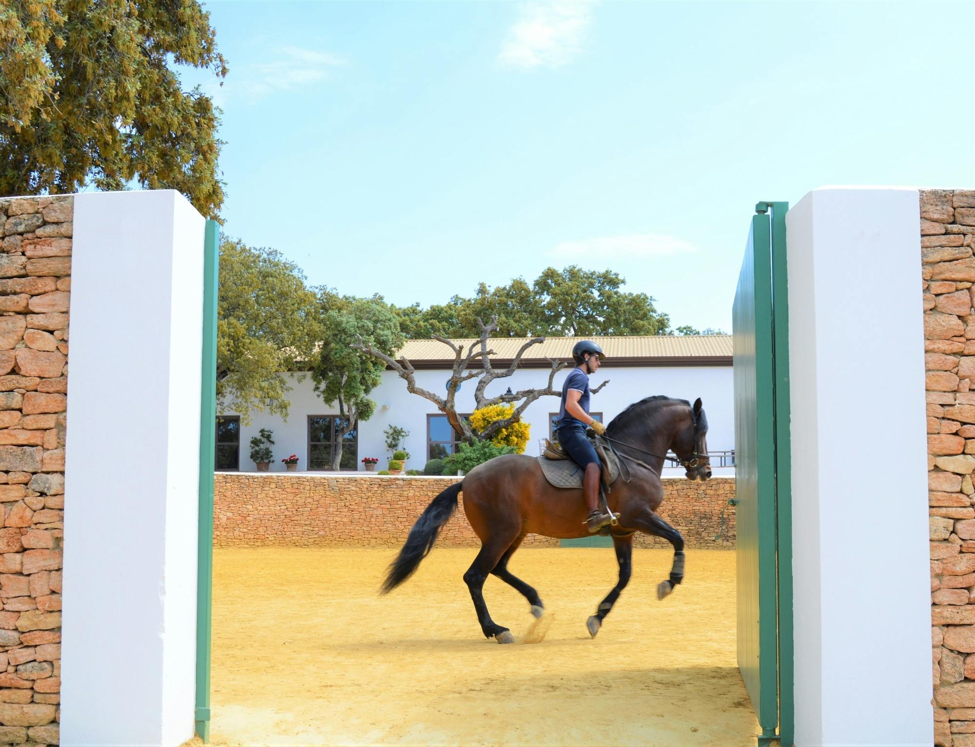 Full Day Tour to Ronda with Reservatauro Ranch Visit