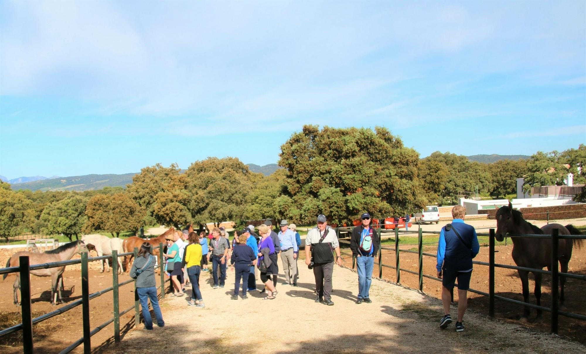 Full Day Tour to Ronda with Reservatauro Ranch Visit