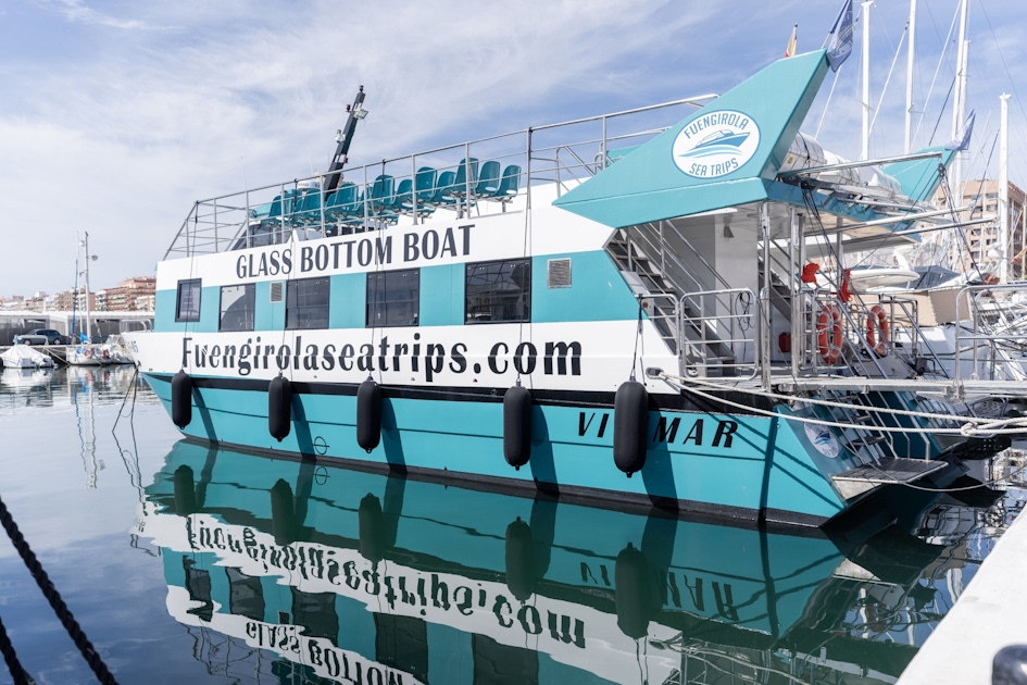 Dolphin Watching Catamaran Cruise Along Costa Del Sol Musement