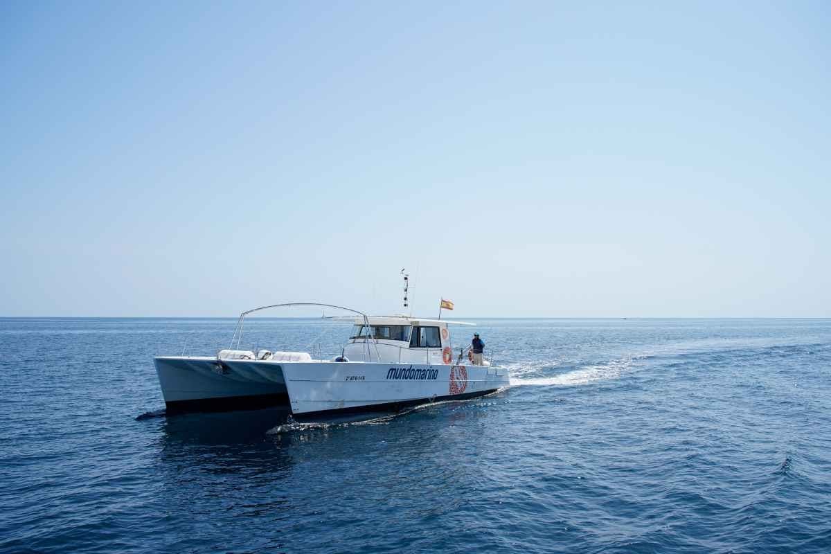 Catamarantocht met gids door natuurpark Serra Gelada vanuit Altea