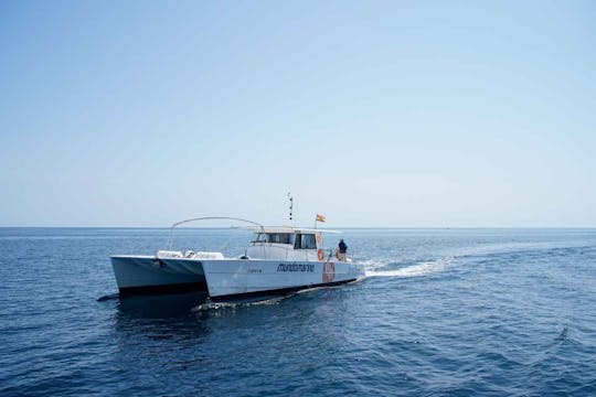 Excursão guiada de catamarã pelo Parque Natural da Serra Gelada saindo de Altea