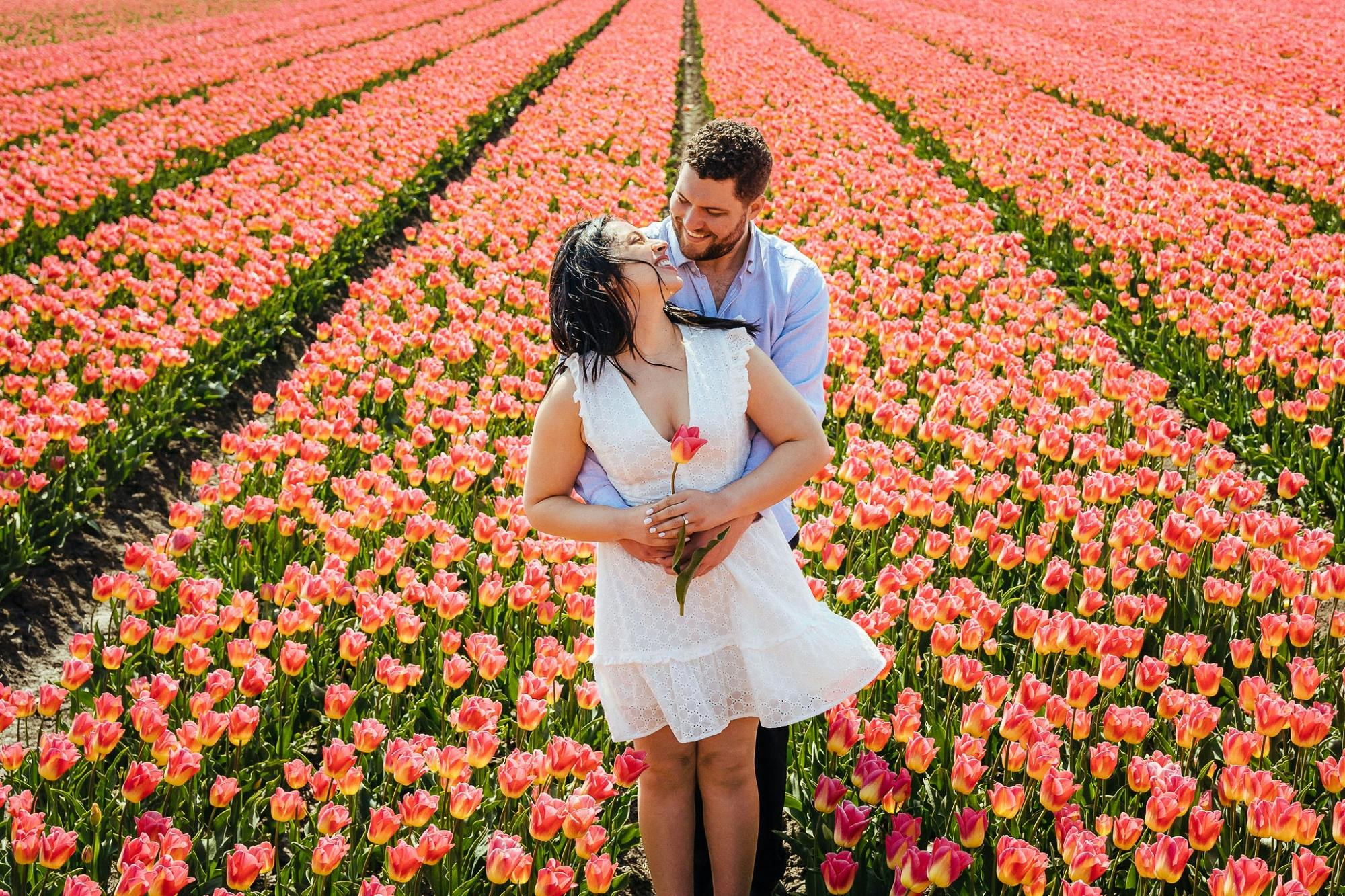 Tour dei tulipani da Amsterdam