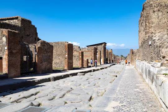 Halve dagtocht naar de archeologische site van Pompeï met een lokale gids en optionele transfers