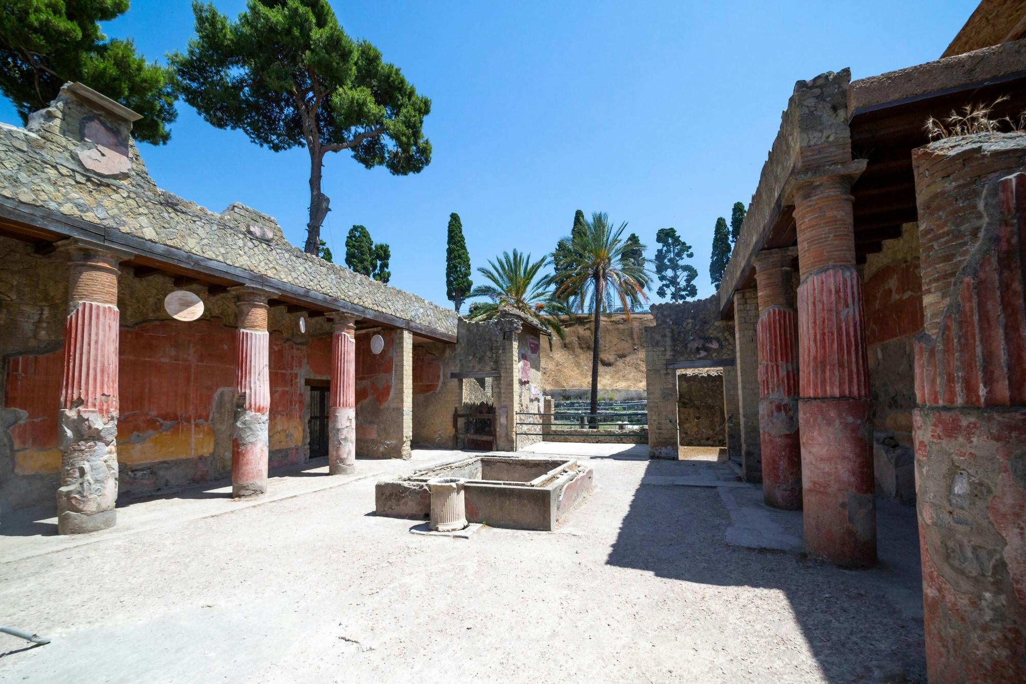 Herculaneum Half-Day Tour