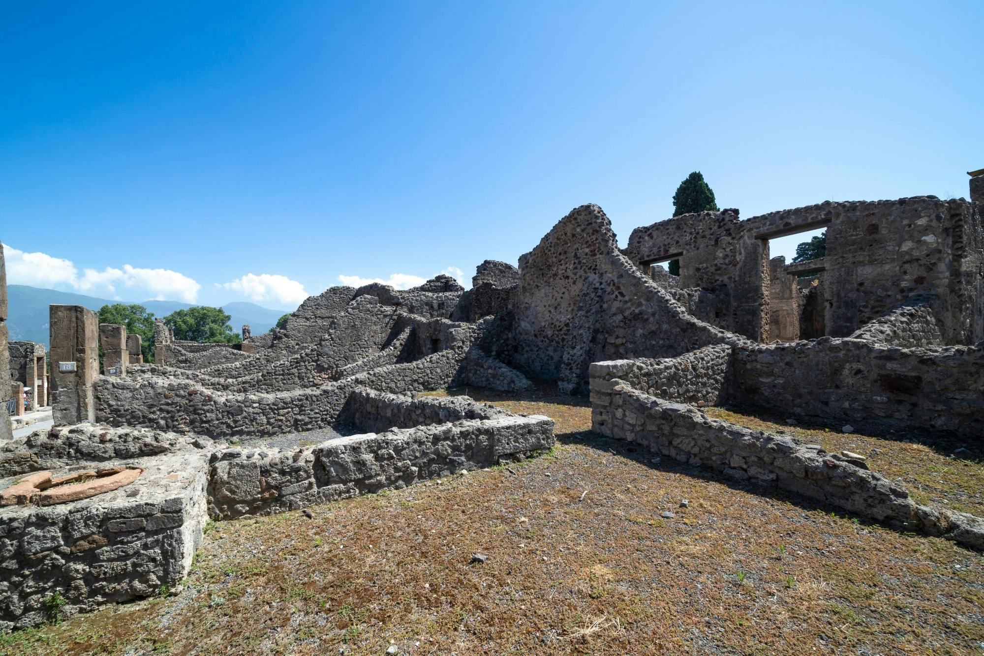 Pompeii Half-day Tour