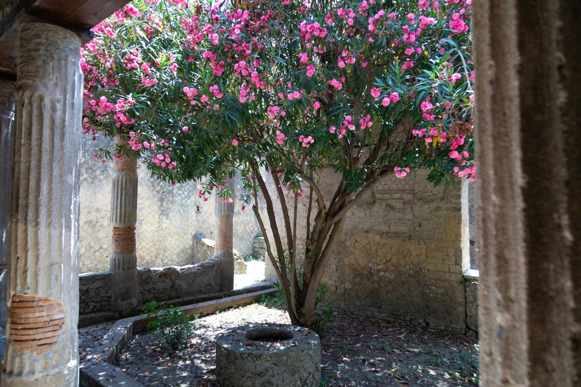 Herculaneum Half-Day Tour