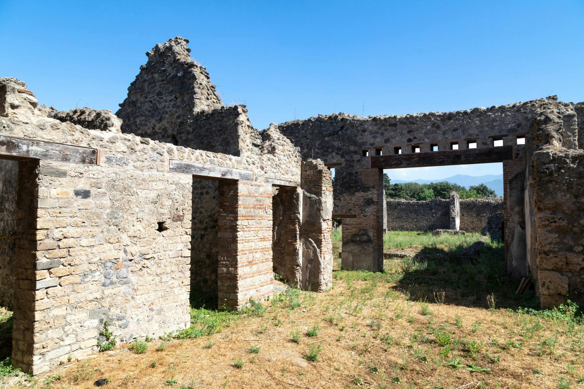 Pompeii Half-day Tour