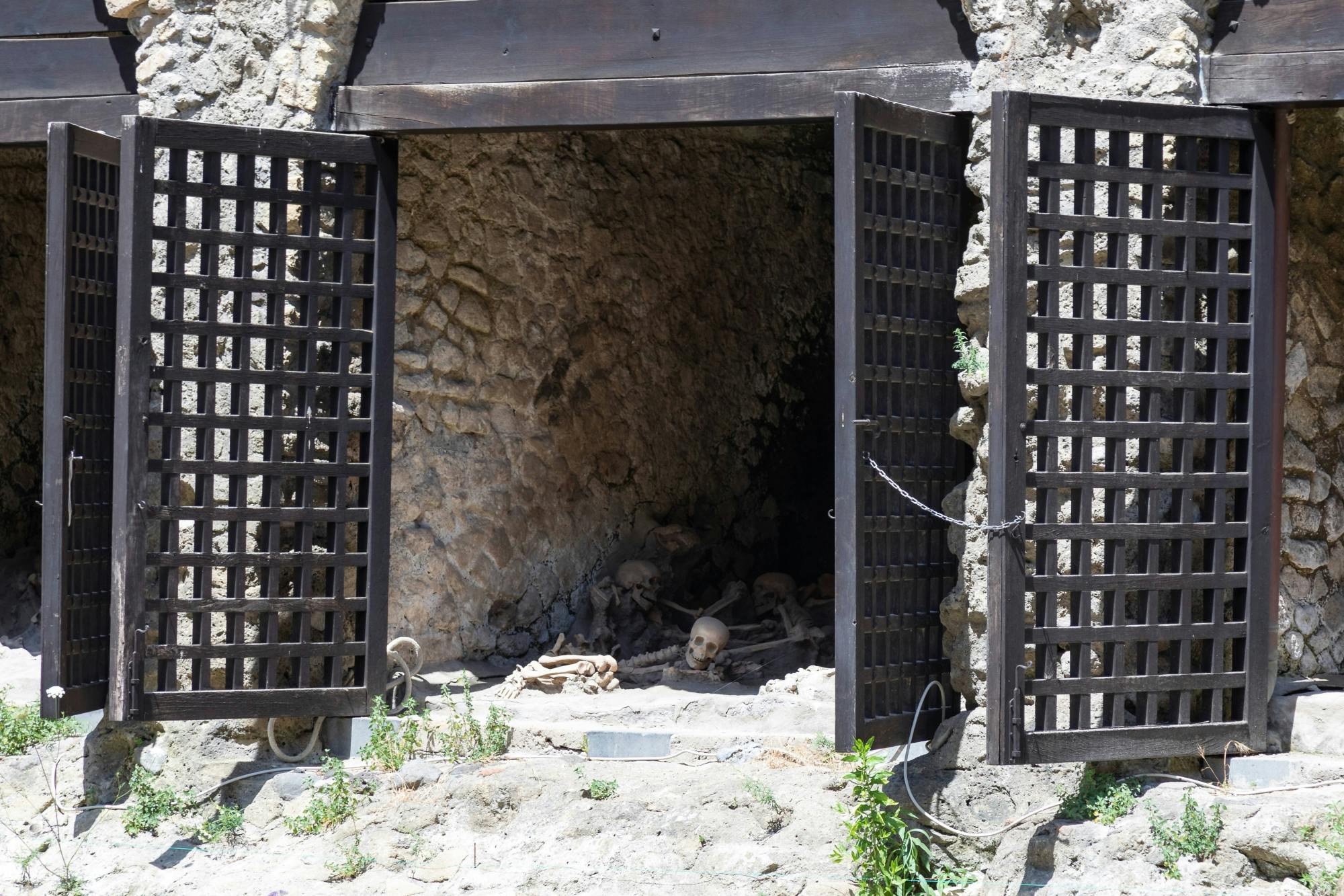 Herculaneum Half-Day Tour