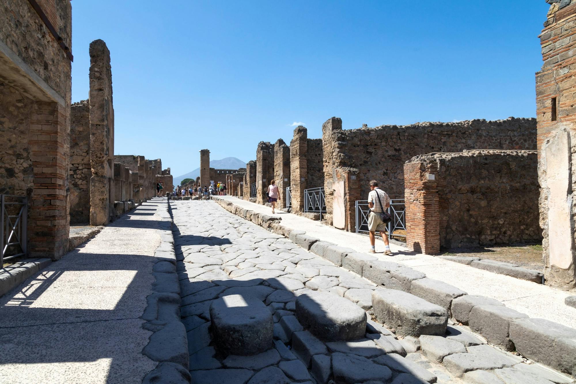 Pompeii Half-day Tour