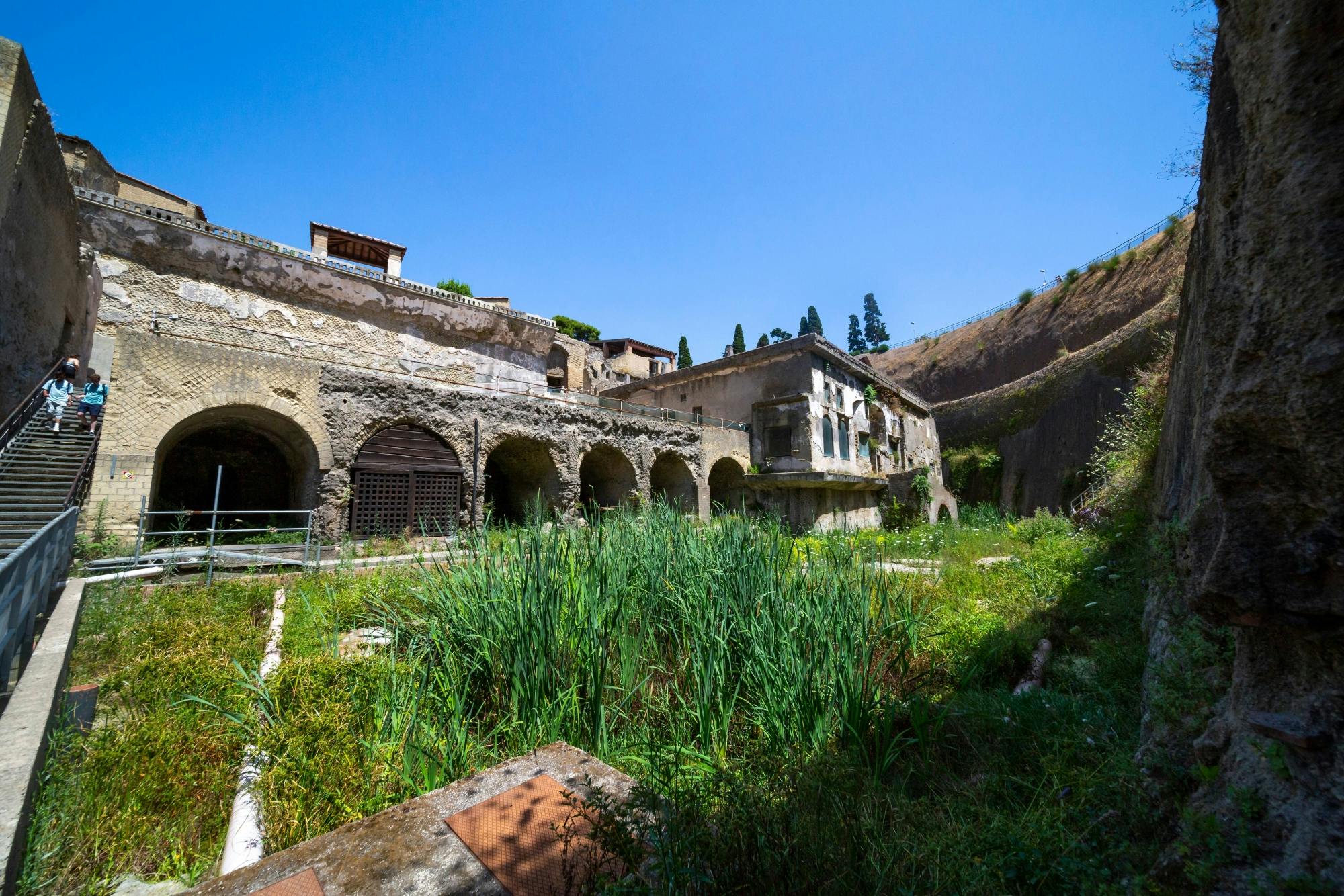 Herculaneum Half-Day Tour