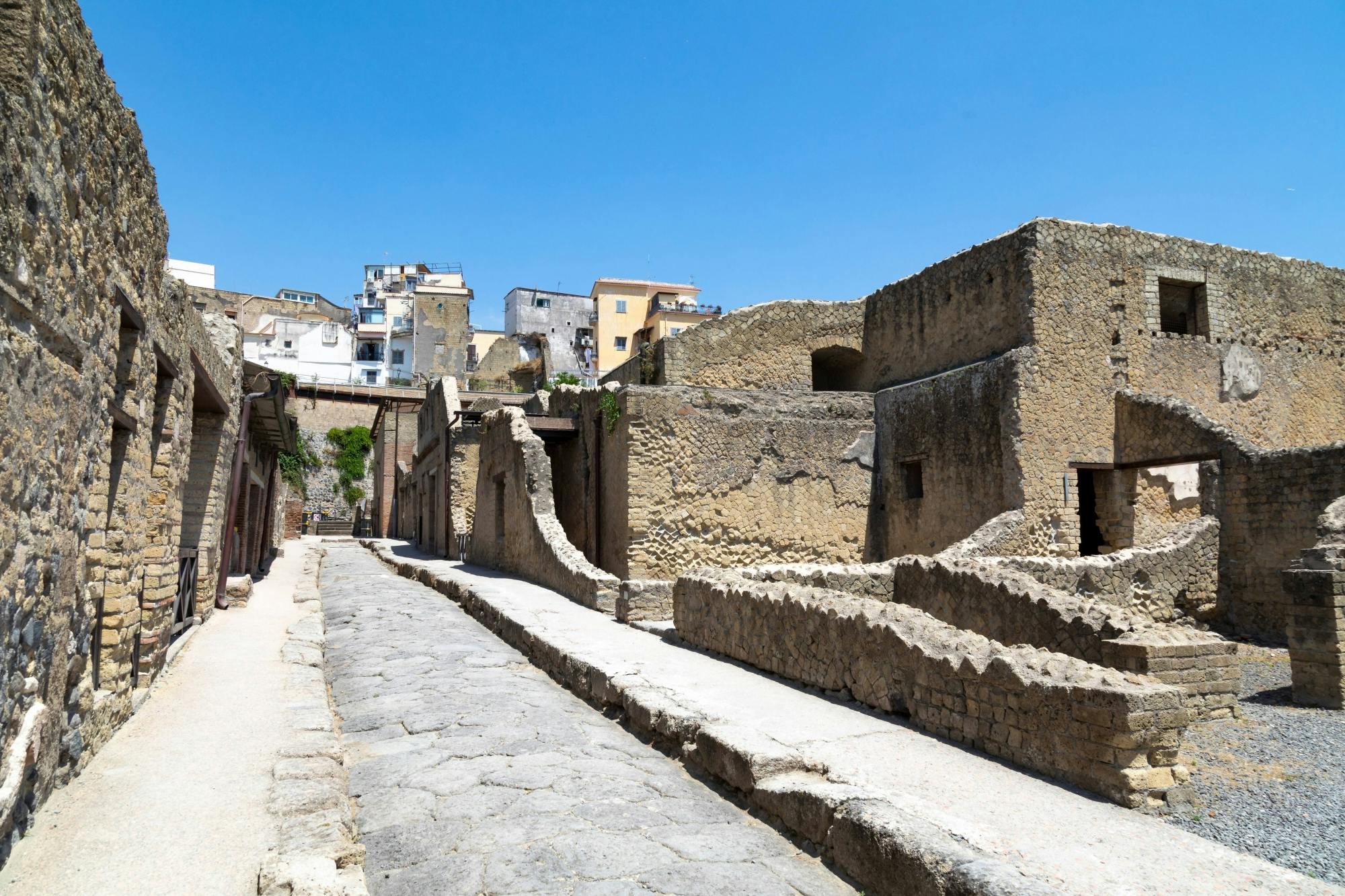 Herculaneum Half-Day Tour