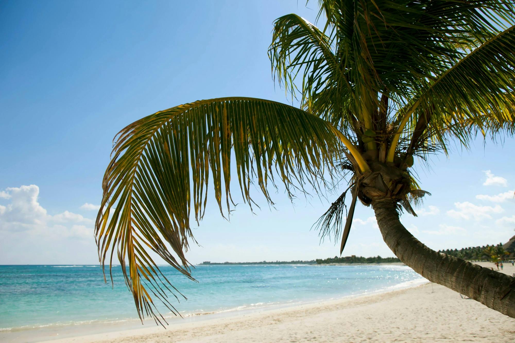 Catalina Island Motomaran Cruise with Beachside Lunch