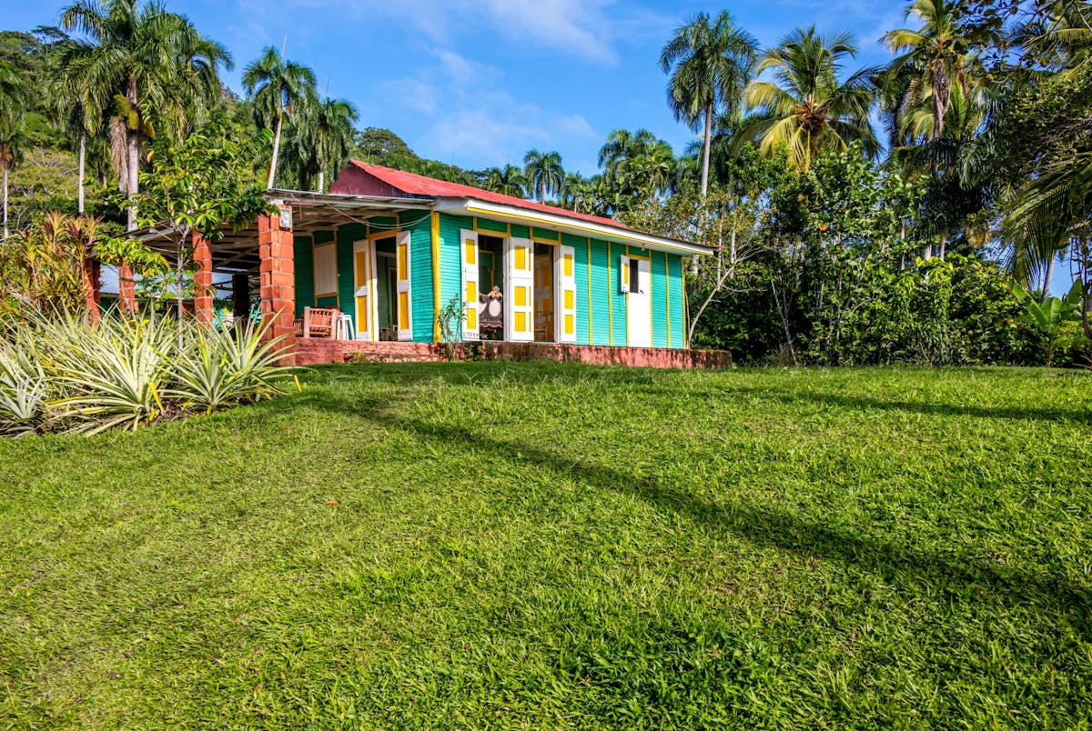 Half-Day Caribbean Culture and Eco-Safari