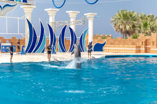 Sealanya Park Ticket