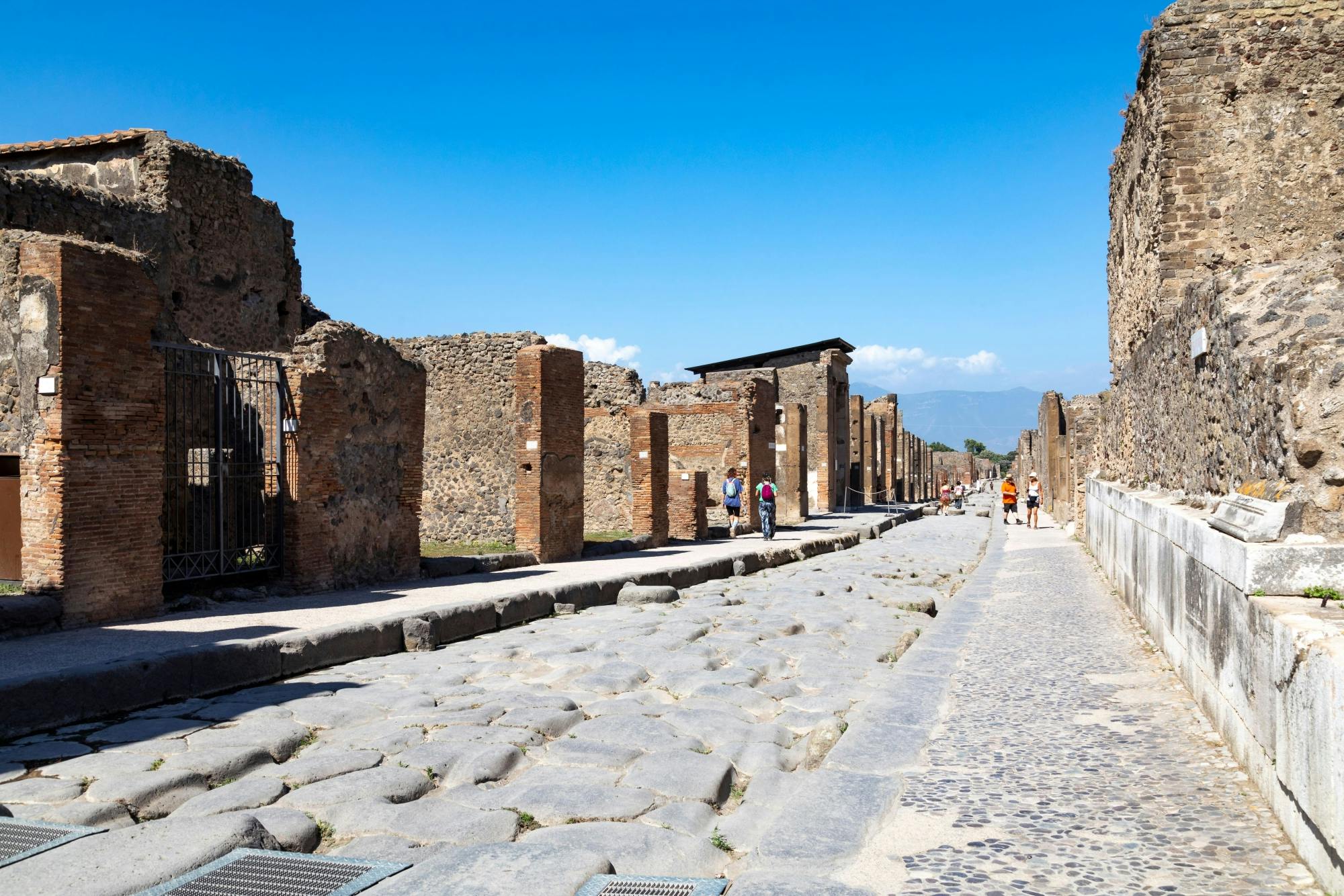 Pompeii archaeological site half-day tour with a local guide