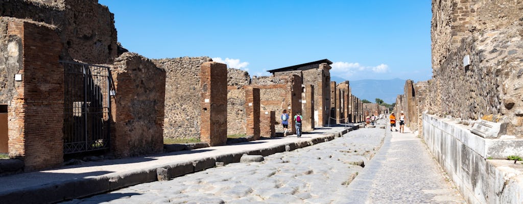 Pompeii archaeological site half-day tour with a local guide