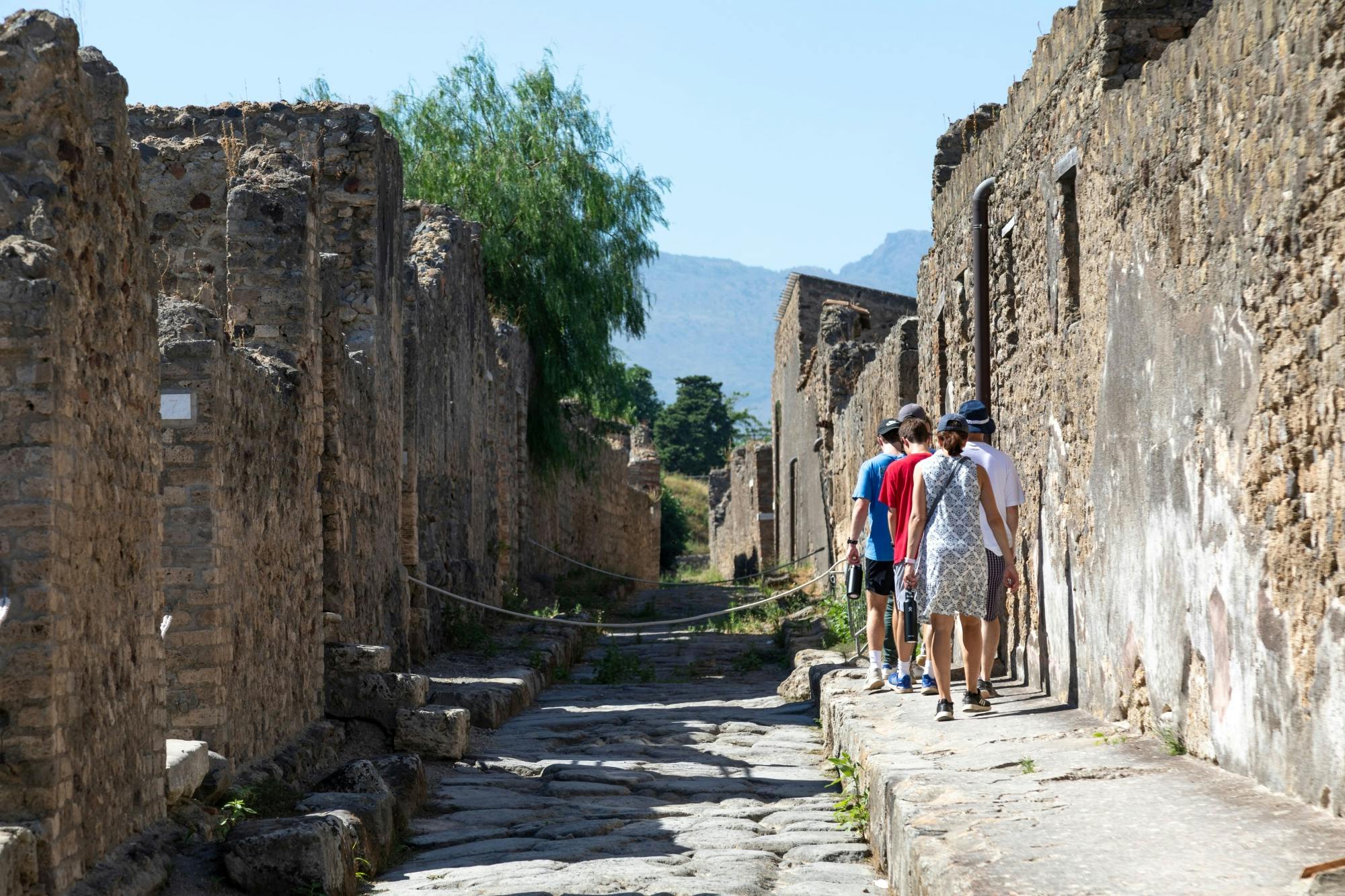 Pompeii Half-day Tour