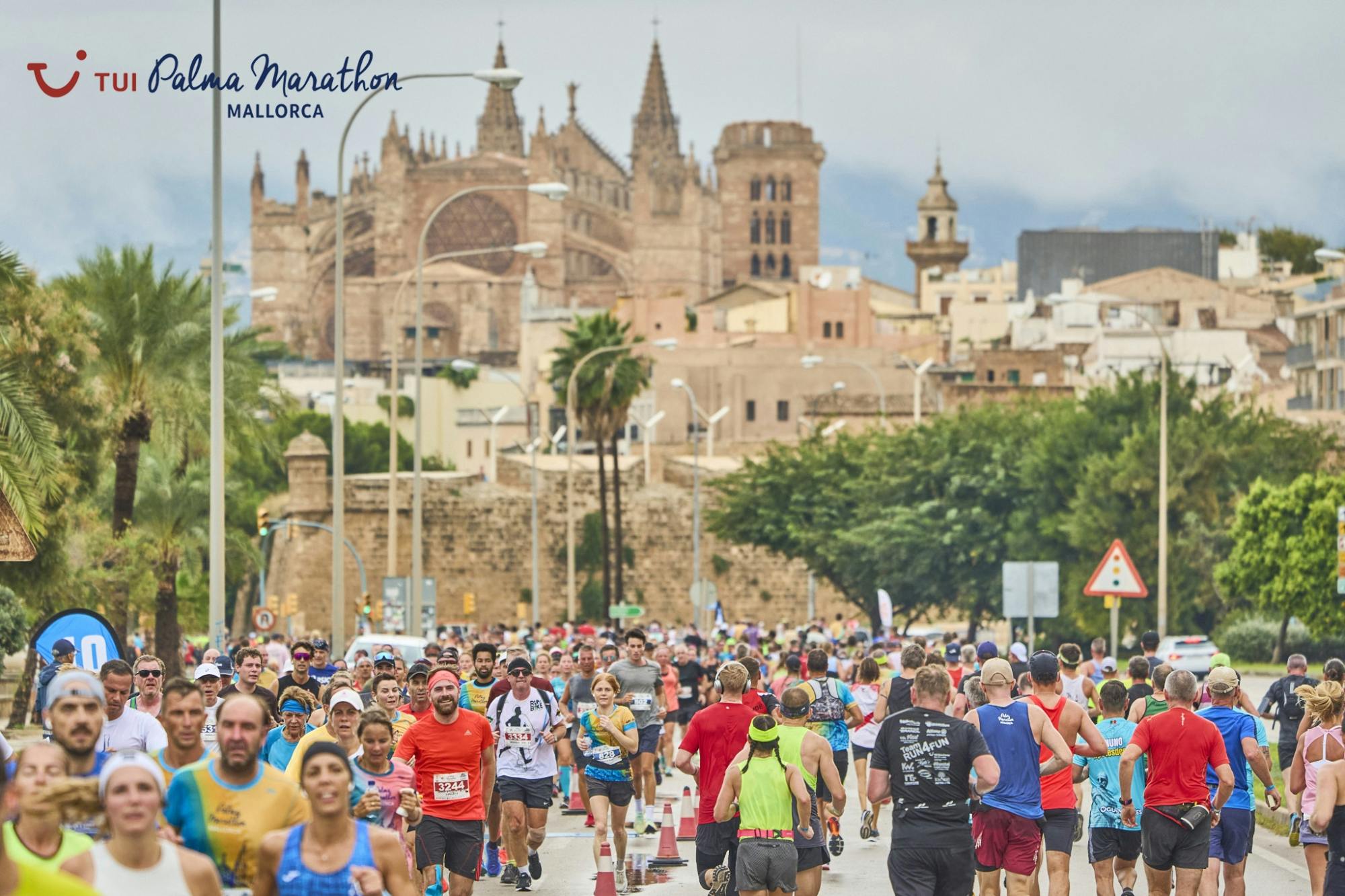 Billet til TUI Palma Marathon Mallorca 2024